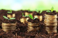 Top 10 African countries with most millionaires (dollars): 2025 Wealth Rankings
