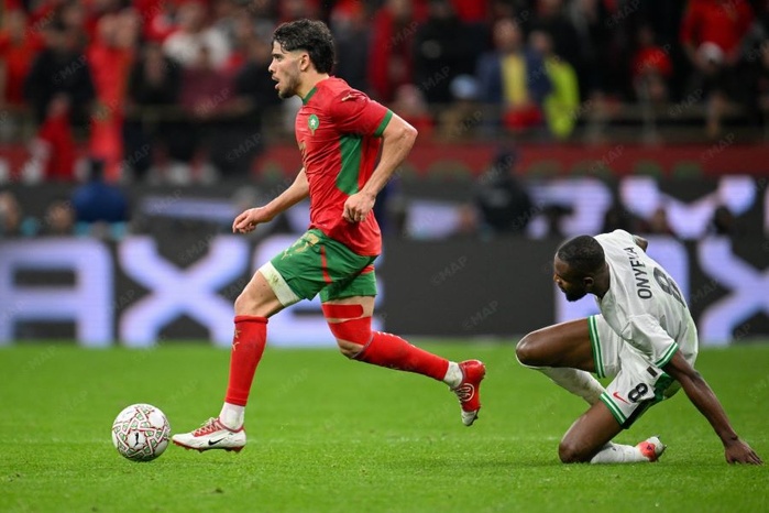 Nigeria - Maroc: LES LIONS FINALISTES DE LEUR CAN 