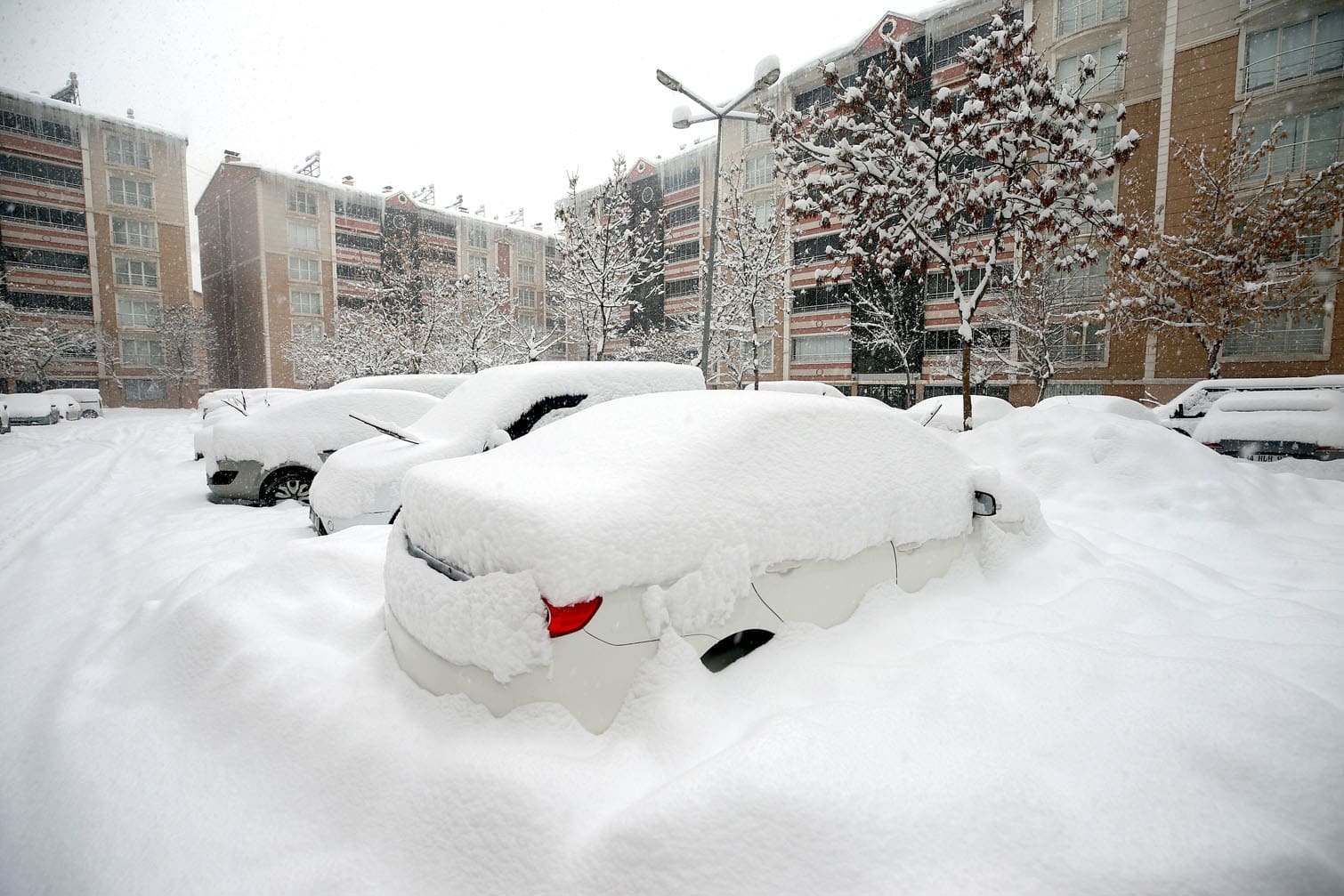 Heavy snowfall in Turkiye's Mus