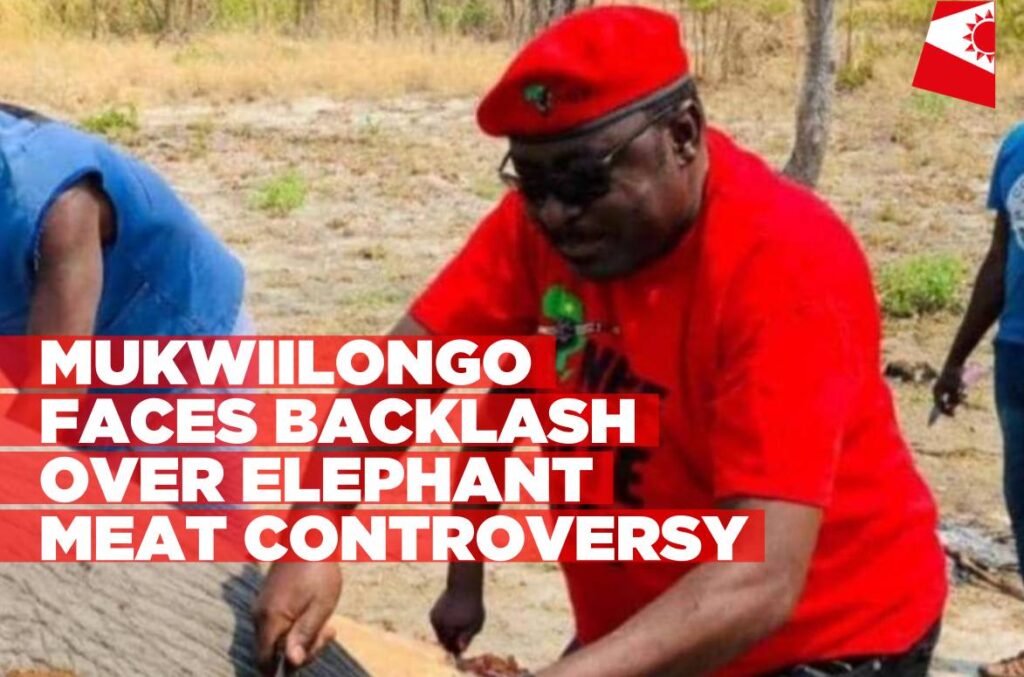 Elephant-put-down-after-Etosha-escape-–-Minister-urges-restraint-online-Informante-Image-workspace-1-1024x677.jpg