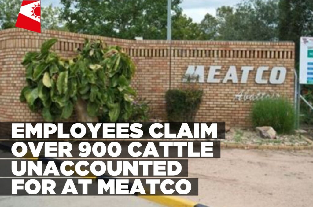 Employees-claim-over-900-cattle-unaccounted-for-at-Meatco-Informante-Image-workspace-1024x677.jpg