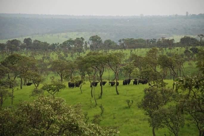 Latoto-National-Park-in-Tore-Payam-.png