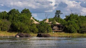 LodgeViews_DumaTau_TCunniffe_010.jpg