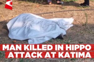 Man-killed-in-hippo-attack-at-Katima-Informante-Image-workspace-1024x677.jpg