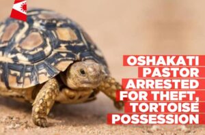 Oshakati-pastor-arrested-for-theft-tortoise-possession-Informante-Image-workspace-1024x677.jpg