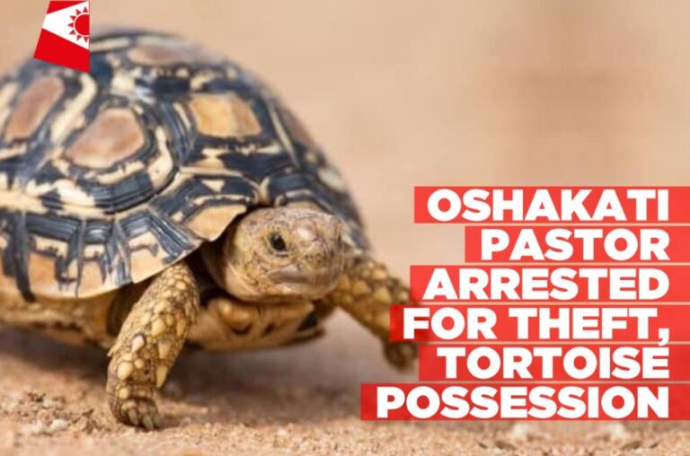 Oshakati-pastor-arrested-for-theft-tortoise-possession-Informante-Image-workspace-1024x677.jpg