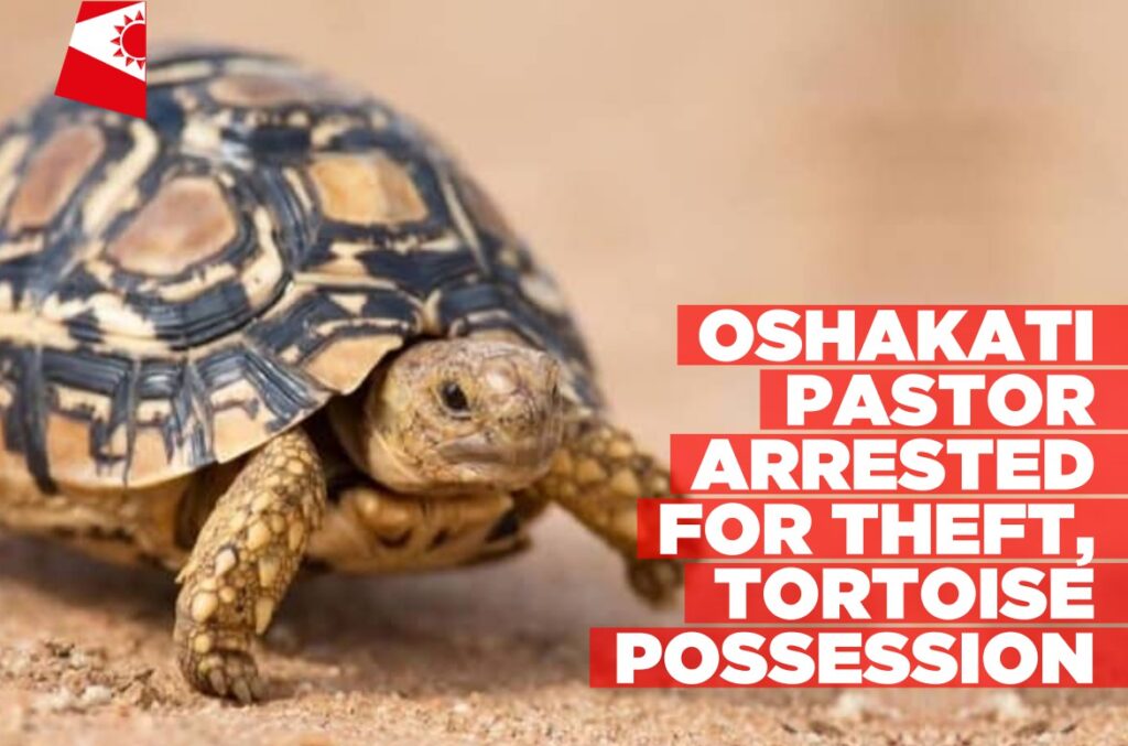 Oshakati-pastor-arrested-for-theft-tortoise-possession-Informante-Image-workspace-1024x677.jpg