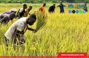 PROJET-AGRICOLE-AFD.png