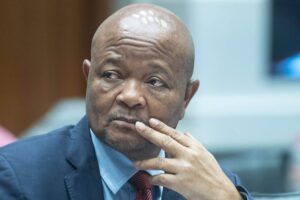 Senzo-Mchunu-Mkhwanazi-ad-hoc-committee.jpg