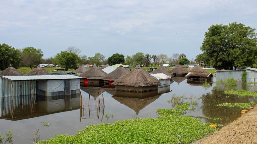 south-sudan-livelihoods-after-flood.jpg