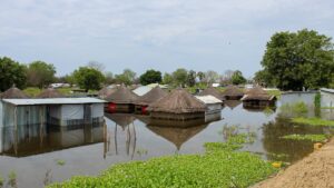 south-sudan-livelihoods-after-flood.jpg