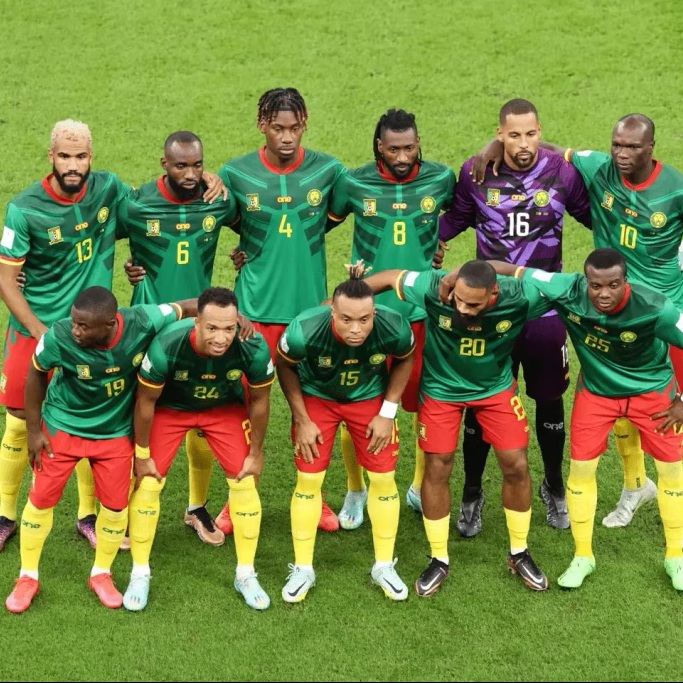 Lions-indomp.jpg