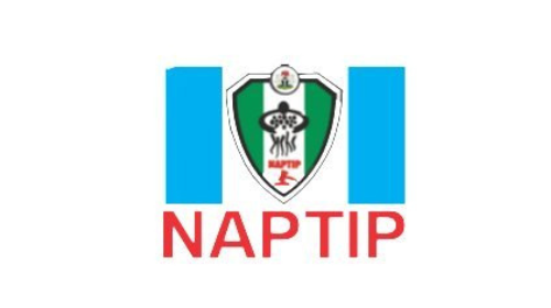 naptip.png
