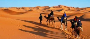 tourisme-saharien.webp