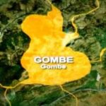 Gombe-State-map.jpg