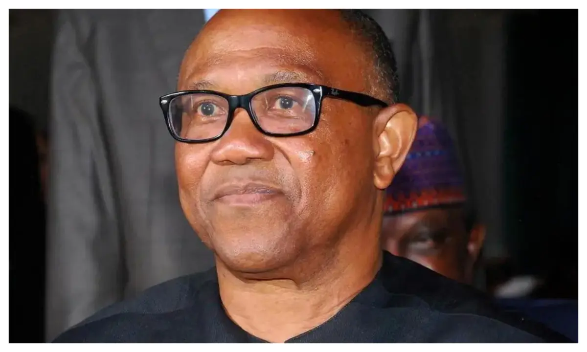 Labour-party-Peter-Obi.jpg