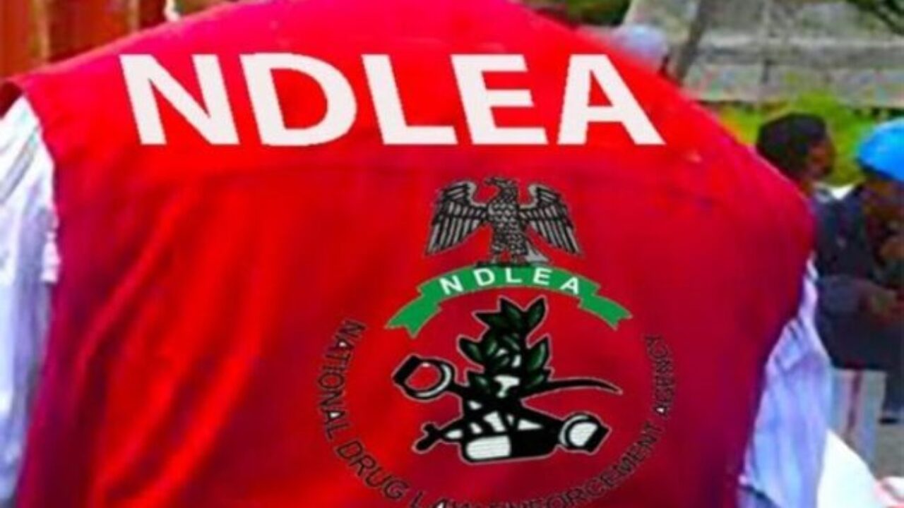 NDLEA-1.jpg