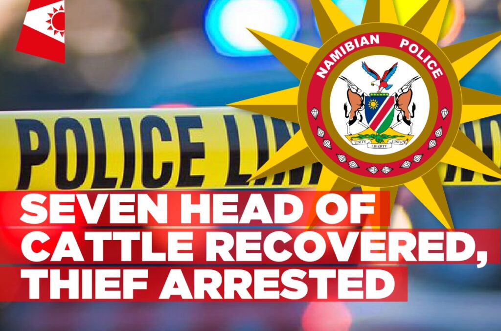 Seven-head-of-cattle-recovered-thief-arrested-by-police-Informante-Image-workspace-1024x677.jpg