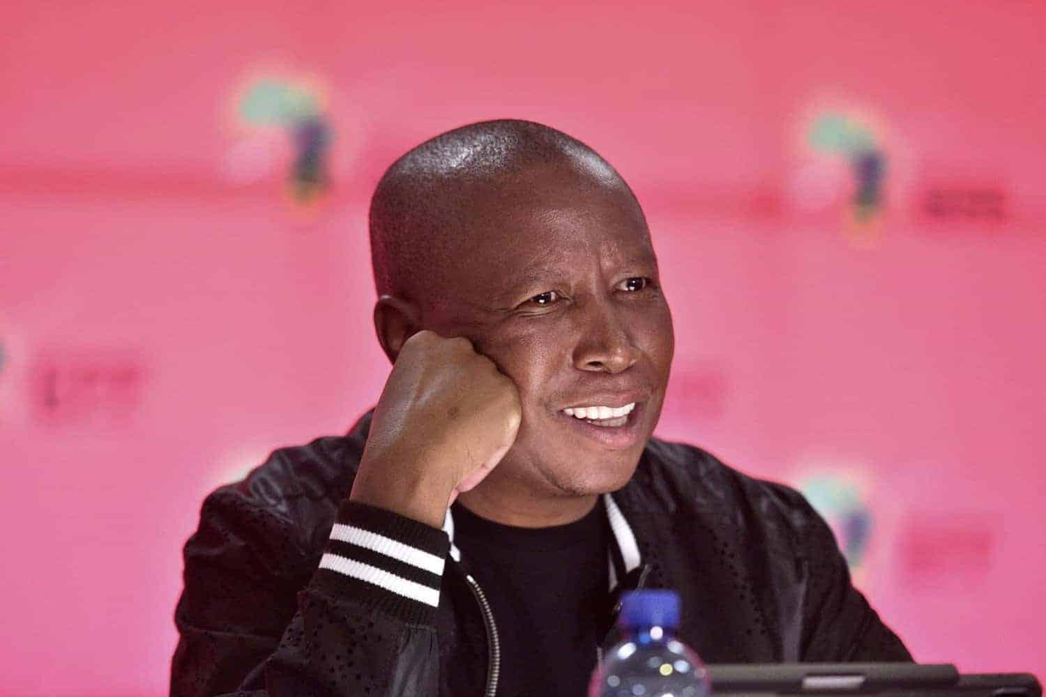 Will-Malema-go-to-jail.jpg